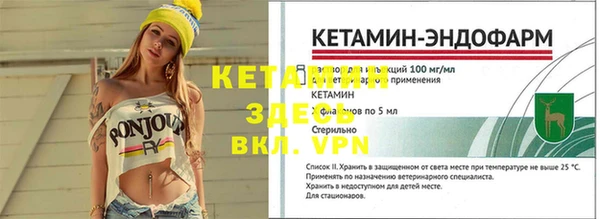 крисы Инта