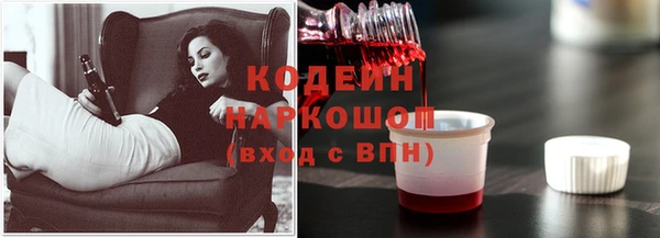 дурь Алексин