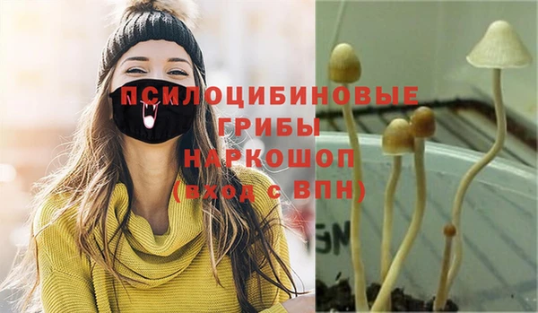 a pvp Алексеевка
