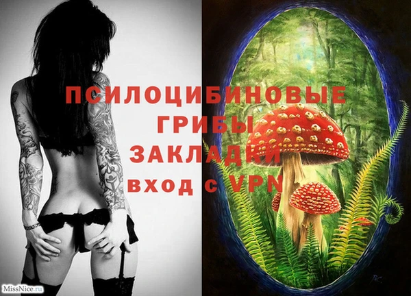 прущий лед Инсар