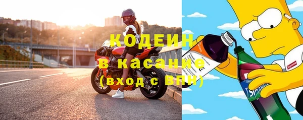 дурь Алексин