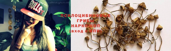МДМА Горнозаводск
