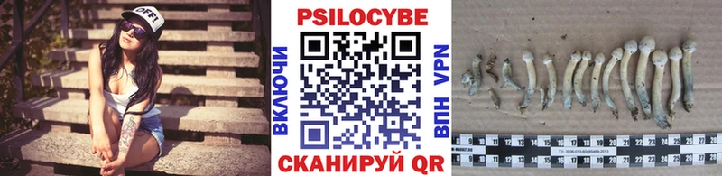 Псилоцибиновые грибы MAGIC MUSHROOMS  Калининград 